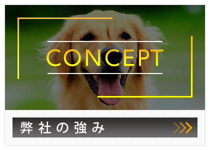 弊社の強み